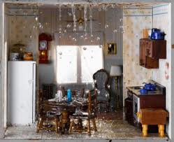 Food and Water damage cleaning services