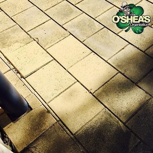 Paver Pressure Cleaning