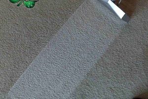 Osheas commercial carpet cleaning
