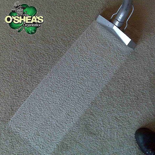 Osheas commercial carpet cleaning