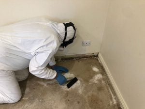 Bio hazard decontamination cleaning