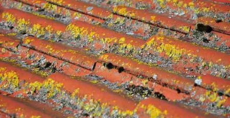 dirty roof tiles