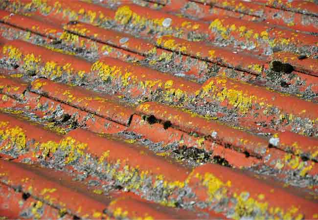dirty roof tiles