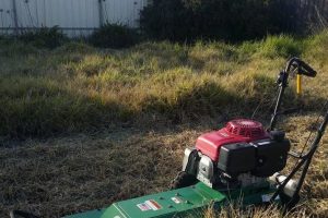 Lawn Mowing Gardening