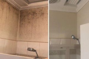 Mould remediation and Tile cleaning