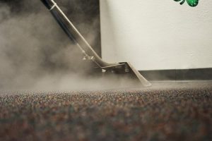 Steam Cleaning of carpet