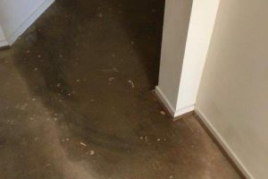 water damager carpet